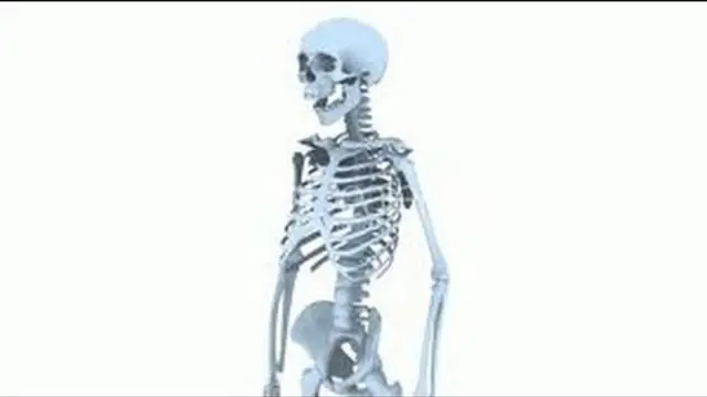 Science: Bones video thumbnail